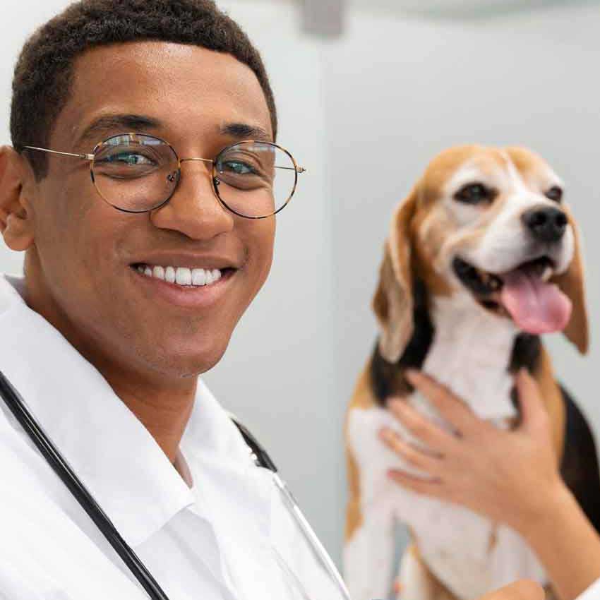 veterinarian-and-beagle-square
